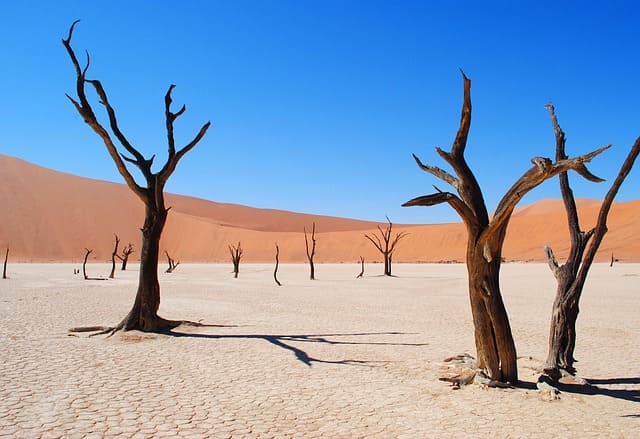 Sesriem & Sossusvlei