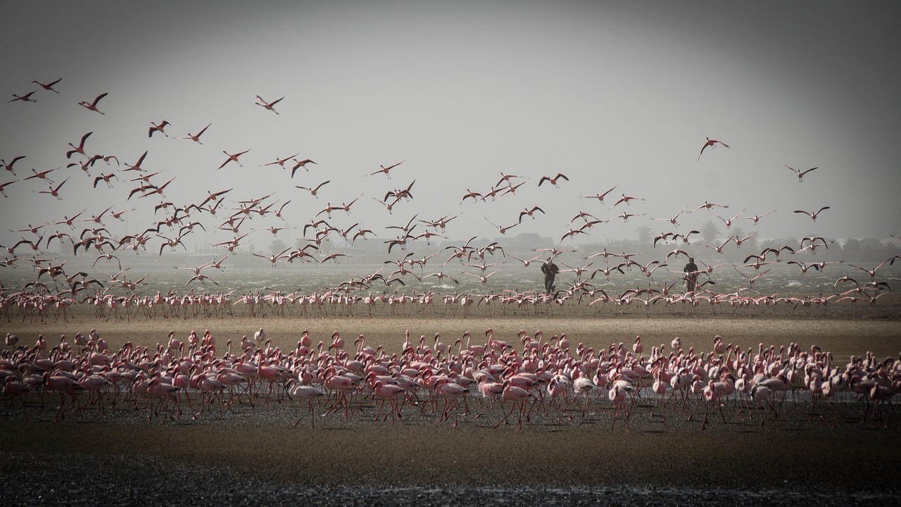 Skeleton Coast